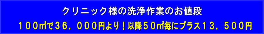 洗浄作業のみのお値段