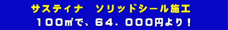 ソリッドシールのお値段