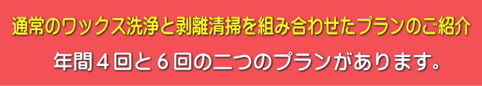 剥離清掃プラン