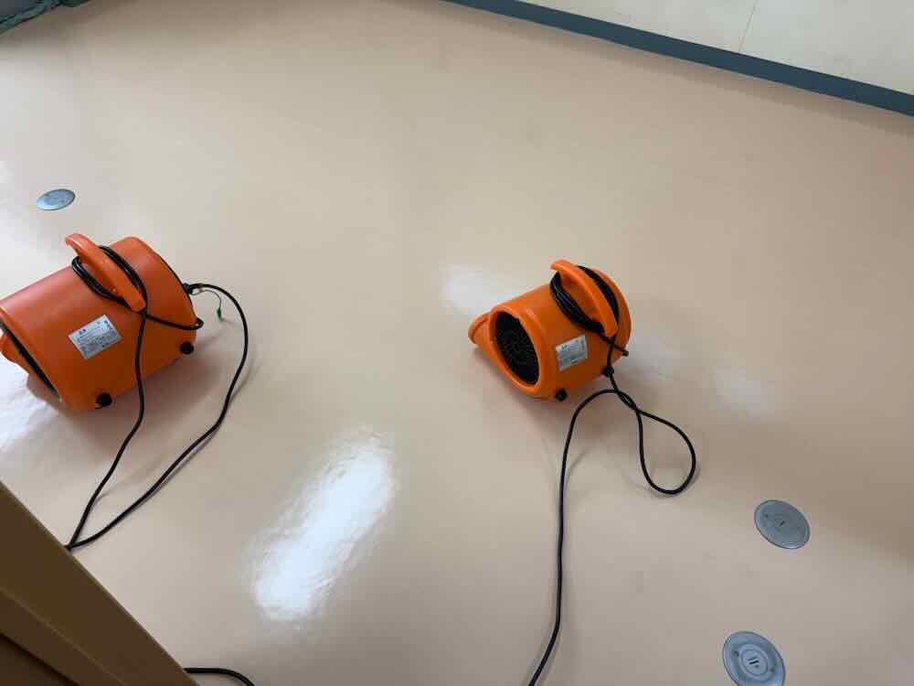 ワックスを塗布。